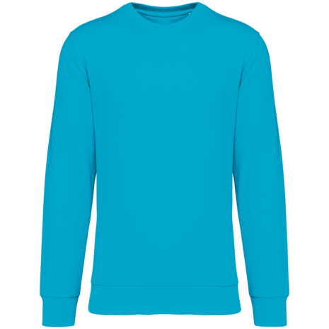 Native Spirit Native Spirit BIO Sweater│UNI│Zware kwaliteit│Light Turquoise Native Spirit Native Spirit BIO Sweater│UNI│Zware kwaliteit│Light Turquoise