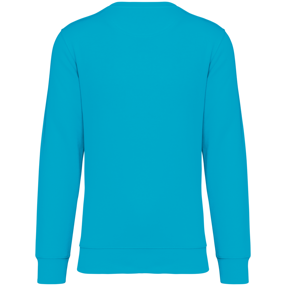 Native Spirit Native Spirit BIO Sweater│UNI│Zware kwaliteit│Light Turquoise Native Spirit Native Spirit BIO Sweater│UNI│Zware kwaliteit│Light Turquoise
