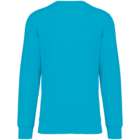 Native Spirit Native Spirit BIO Sweater│UNI│Zware kwaliteit│Light Turquoise Native Spirit Native Spirit BIO Sweater│UNI│Zware kwaliteit│Light Turquoise