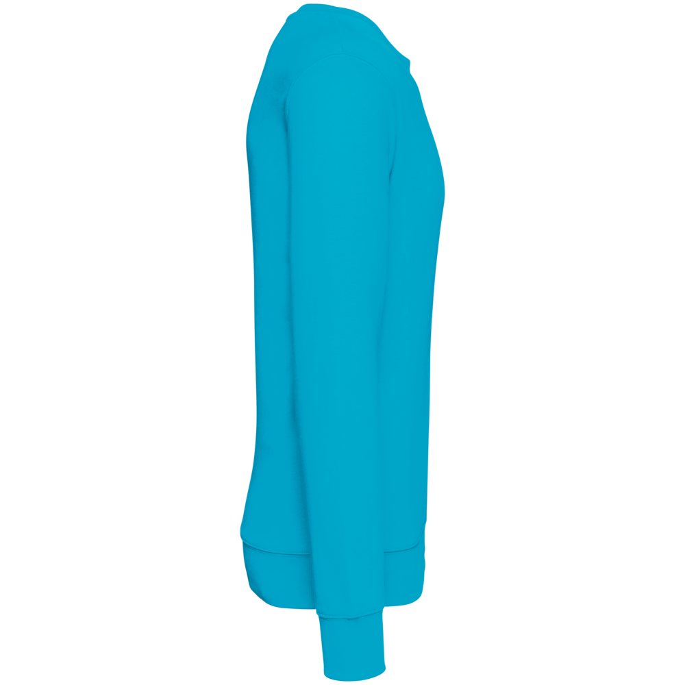 Native Spirit Native Spirit BIO Sweater│UNI│Zware kwaliteit│Light Turquoise Native Spirit Native Spirit BIO Sweater│UNI│Zware kwaliteit│Light Turquoise