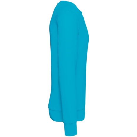 Native Spirit Native Spirit BIO Sweater│UNI│Zware kwaliteit│Light Turquoise Native Spirit Native Spirit BIO Sweater│UNI│Zware kwaliteit│Light Turquoise