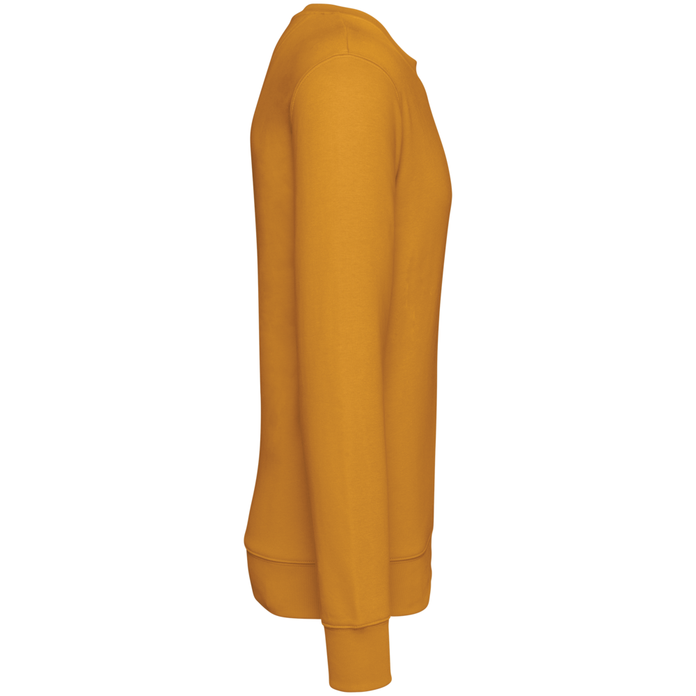 Native Spirit Native Spirit BIO Sweater│UNI│Zware kwaliteit│Curcuma Native Spirit Native Spirit BIO Sweater│UNI│Zware kwaliteit│Curcuma