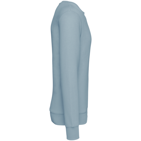 Native Spirit Native Spirit BIO Sweater│UNI│Zware kwaliteit│Aqua Marine Native Spirit Native Spirit BIO Sweater│UNI│Zware kwaliteit│Aqua Marine