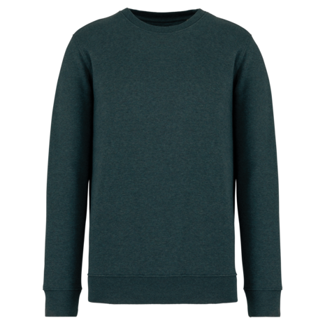 Native Spirit Native Spirit BIO Sweater│UNI│Zware kwaliteit│Amazon Green gemêleerd