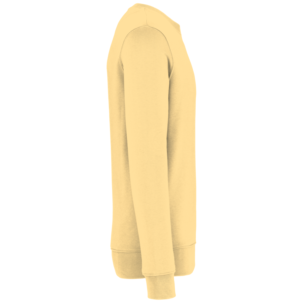 Native Spirit Native Spirit BIO Sweater│UNI│Zware kwaliteit│Pineapple Native Spirit Native Spirit BIO Sweater│UNI│Zware kwaliteit│Pineapple