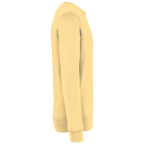 Native Spirit Native Spirit BIO Sweater│UNI│Zware kwaliteit│Pineapple Native Spirit Native Spirit BIO Sweater│UNI│Zware kwaliteit│Pineapple