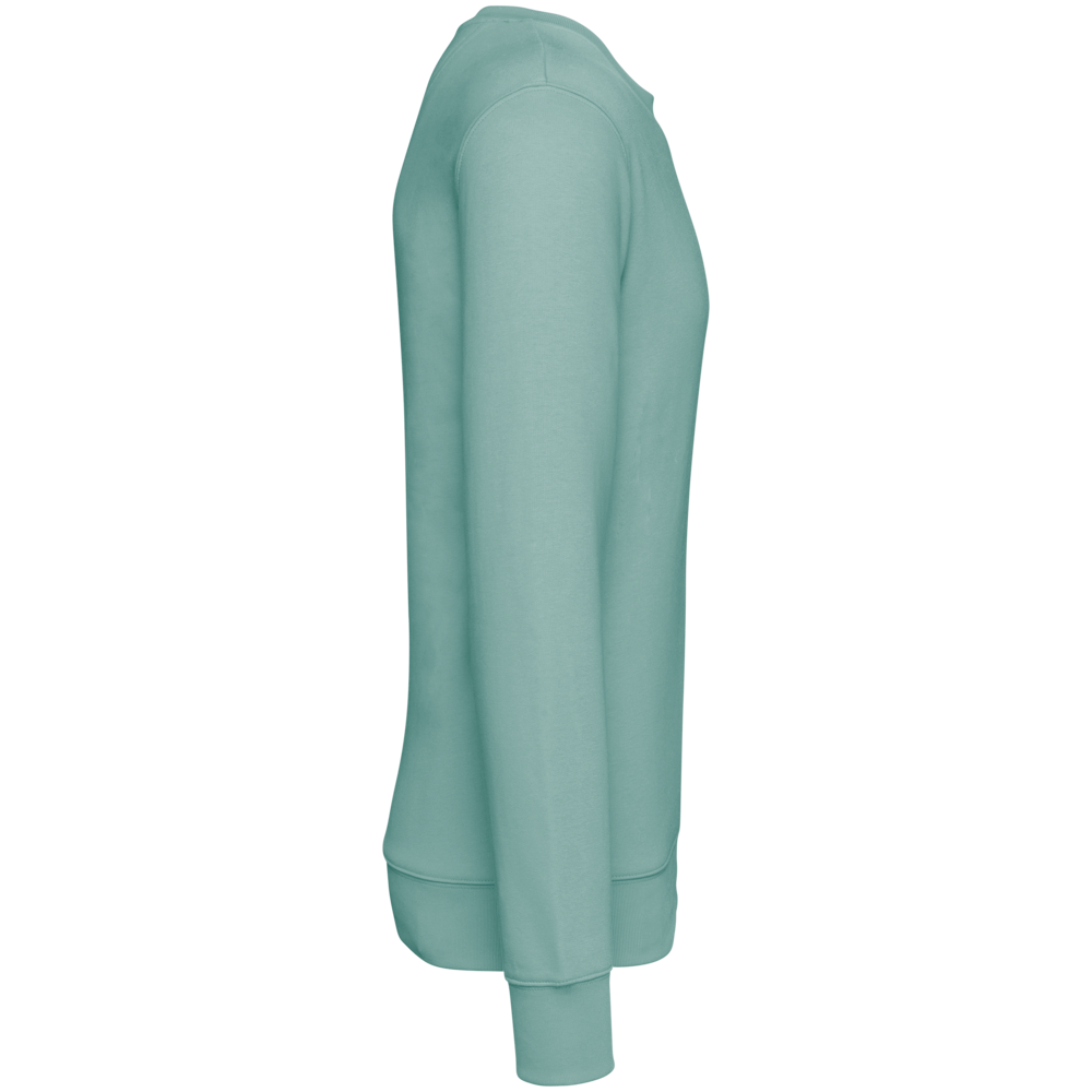 Native Spirit Native Spirit BIO Sweater│UNI│Zware kwaliteit│Jade Green Native Spirit Native Spirit BIO Sweater│UNI│Zware kwaliteit│Jade Green