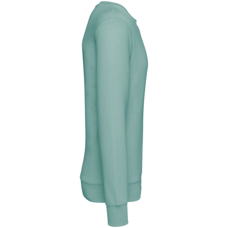 Native Spirit Native Spirit BIO Sweater│UNI│Zware kwaliteit│Jade Green Native Spirit Native Spirit BIO Sweater│UNI│Zware kwaliteit│Jade Green