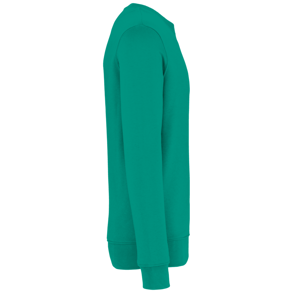 Native Spirit Native Spirit BIO Sweater│UNI│Zware kwaliteit│Gemstone-Green Native Spirit Native Spirit BIO Sweater│UNI│Zware kwaliteit│Gemstone-Green