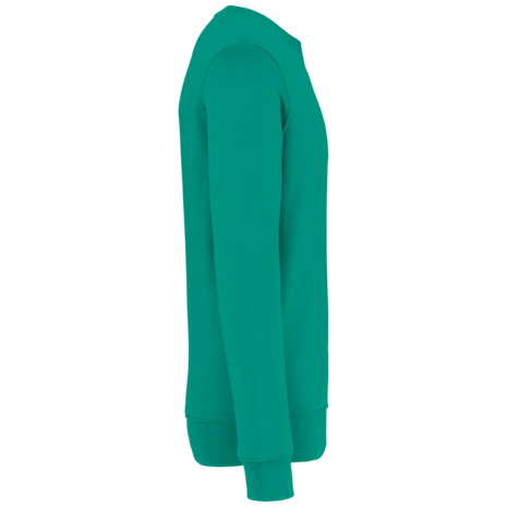 Native Spirit Native Spirit BIO Sweater│UNI│Zware kwaliteit│Gemstone-Green Native Spirit Native Spirit BIO Sweater│UNI│Zware kwaliteit│Gemstone-Green