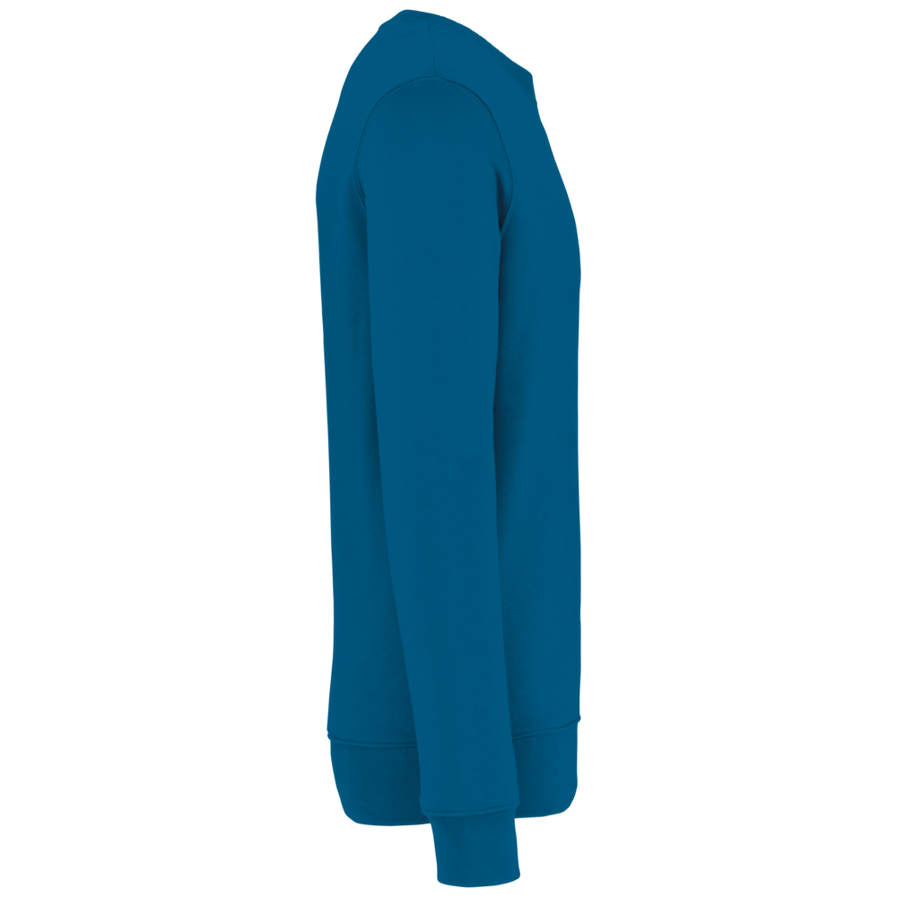 Native Spirit Native Spirit BIO Sweater│UNI│Zware kwaliteit│Blue Sapphire Native Spirit Native Spirit BIO Sweater│UNI│Zware kwaliteit│Blue Sapphire