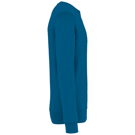 Native Spirit Native Spirit BIO Sweater│UNI│Zware kwaliteit│Blue Sapphire Native Spirit Native Spirit BIO Sweater│UNI│Zware kwaliteit│Blue Sapphire