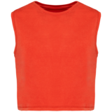 Native Spirit Eco-Friendly Dames Cropped T-shirt ronde hals | Washed Paprika