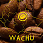 Harar Coffee Wachu coffee beans