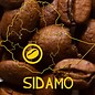 Harar Coffee Sidamo coffee beans