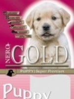 Nero gold Nero Gold puppy