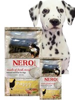 Nero gold Nero pure puppy