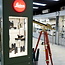 Leica Noctivid 8x42 green