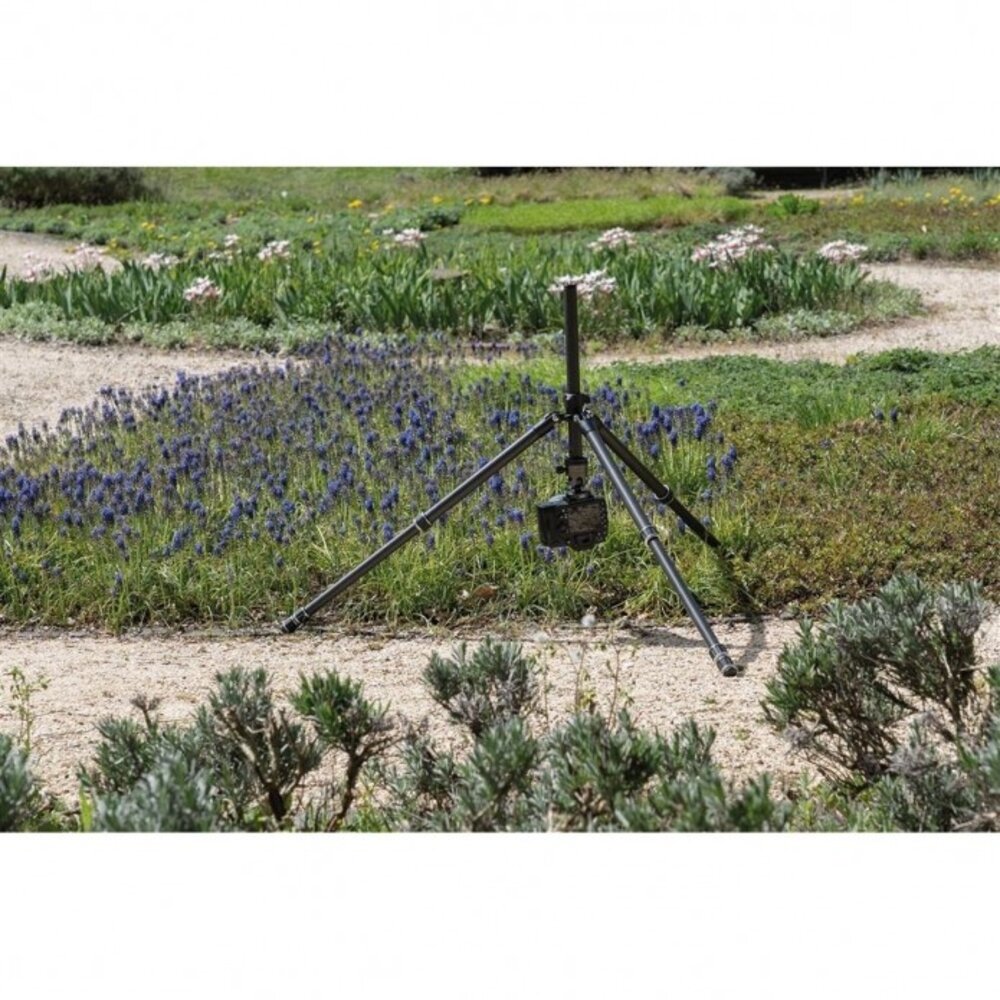 Dörr Racer CR-1700 Carbon Statief + CNC-40 Balhoofd