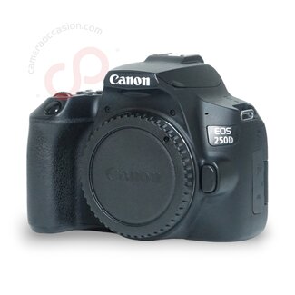 Canon EOS 250D (26.360 clicks) nr. 0217