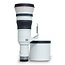 Canon RF 800mm 5.6 L IS USM **OUTLET** nr. 1418
