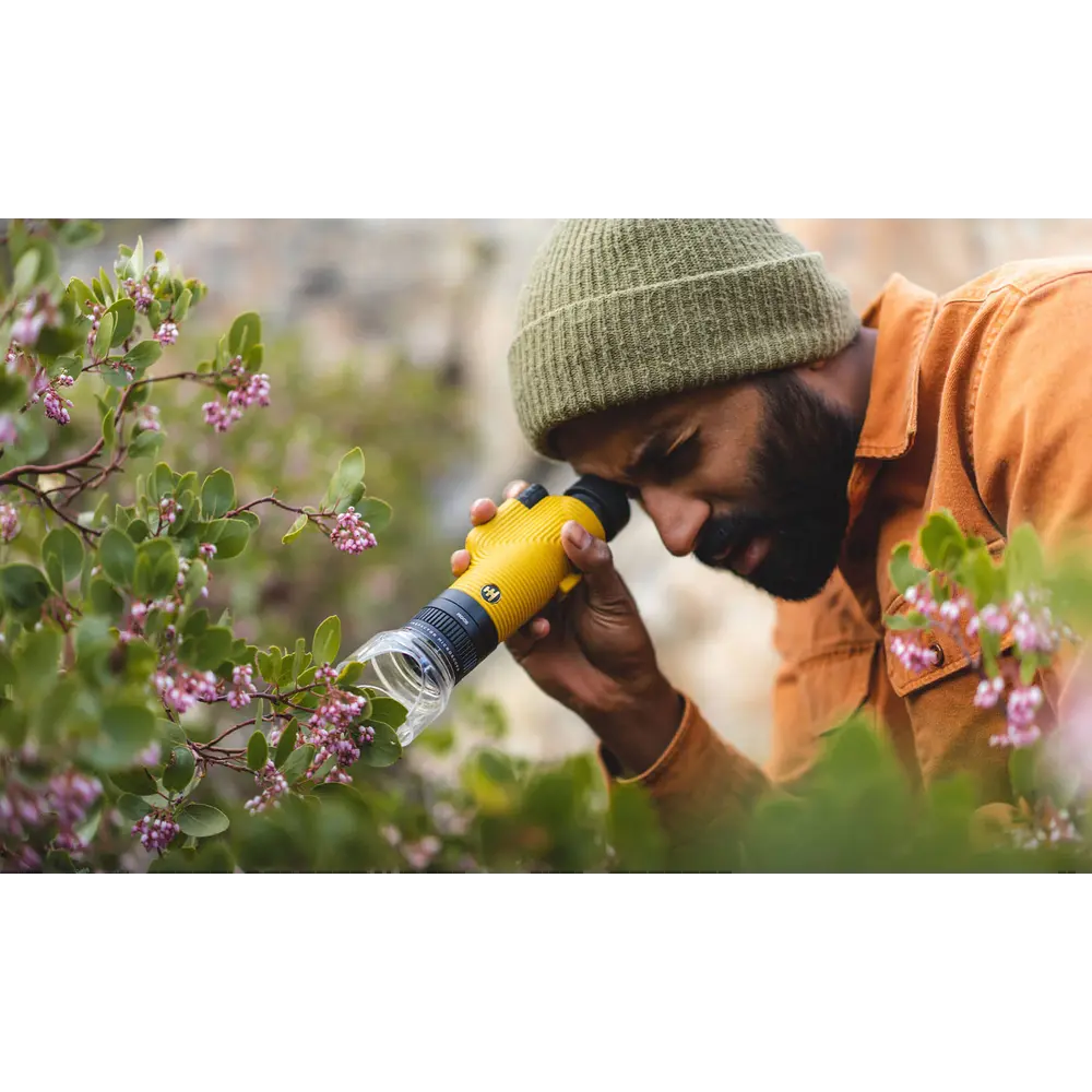 Nocs Inspector microscope black