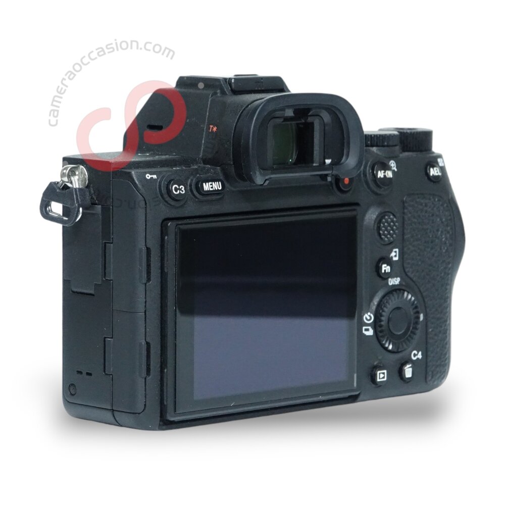 Sony A7R IV nr. 1858