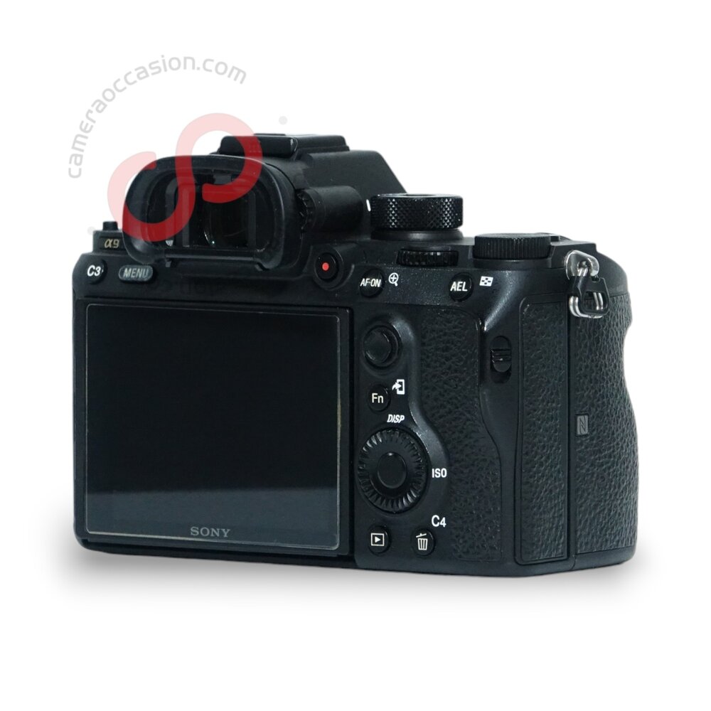 Sony A9 nr. 2114