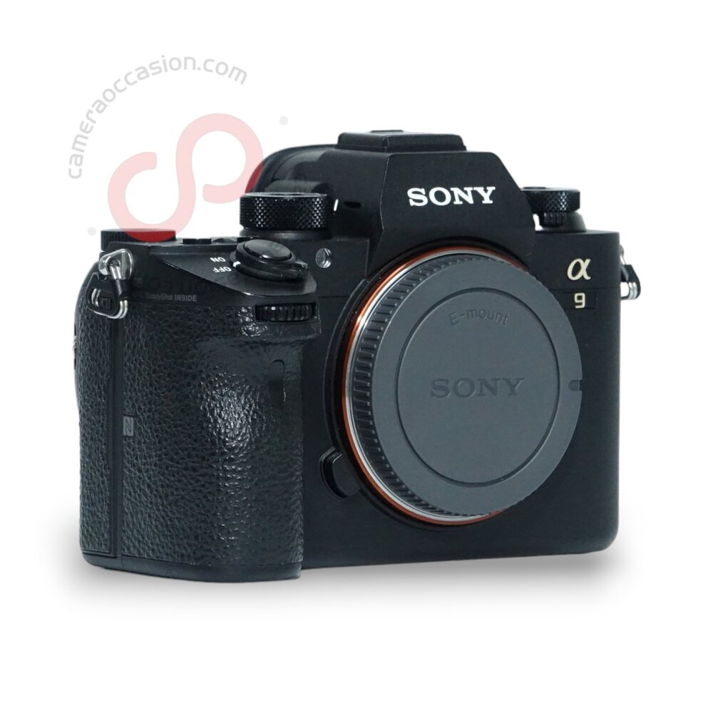Sony A9 nr. 2114