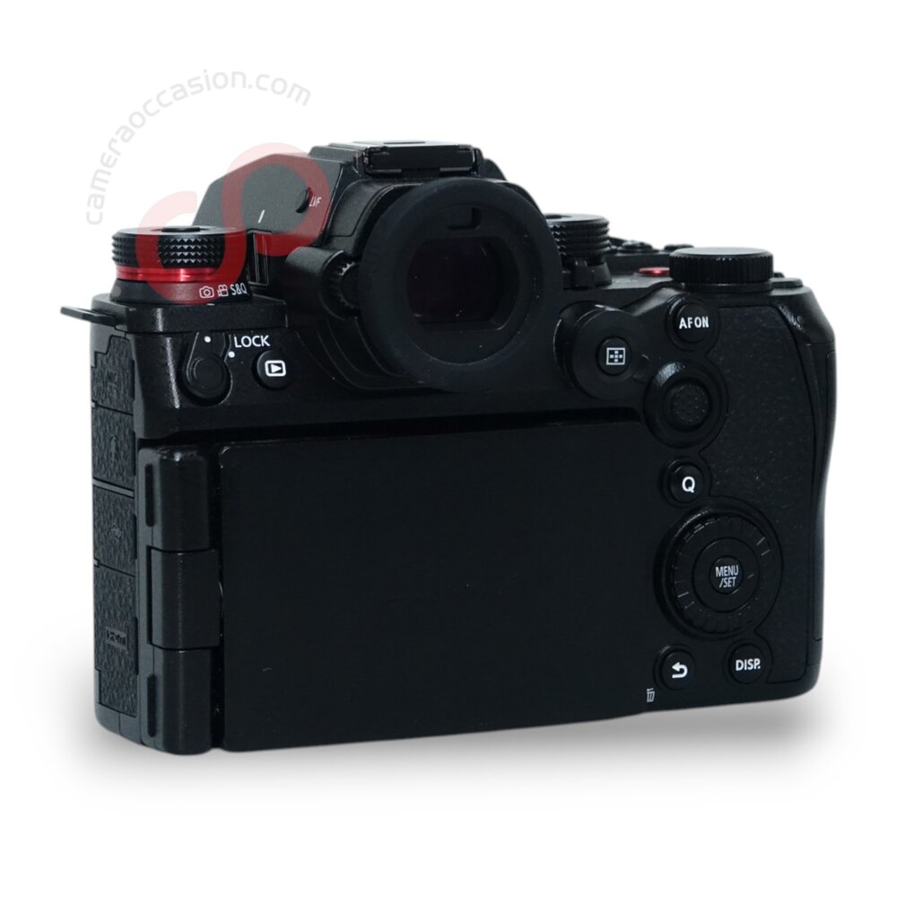 Panasonic Lumix S DC-1 IIE nr. 2868