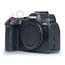 Canon EOS R6 II nr. 3091
