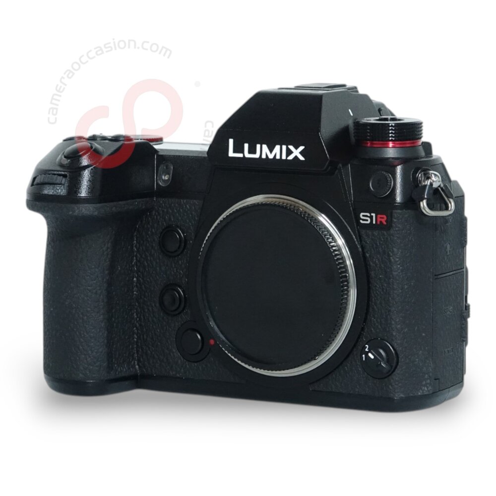 Panasonic Lumix S DC-S1R nr. 3233