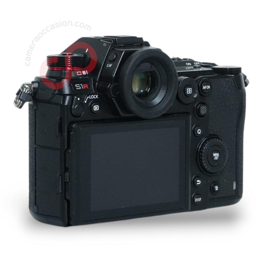 Panasonic Lumix S DC-S1R nr. 3233