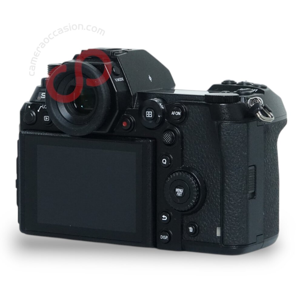 Panasonic Lumix S DC-S1R nr. 3233