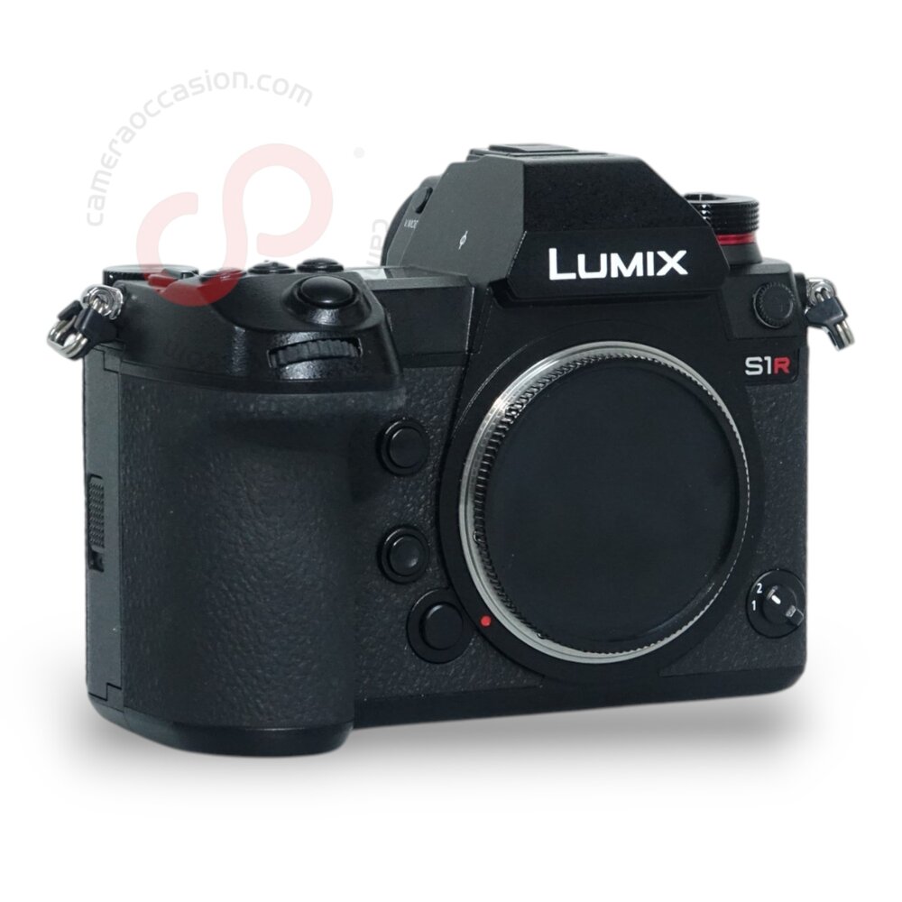 Panasonic Lumix S DC-S1R nr. 3233