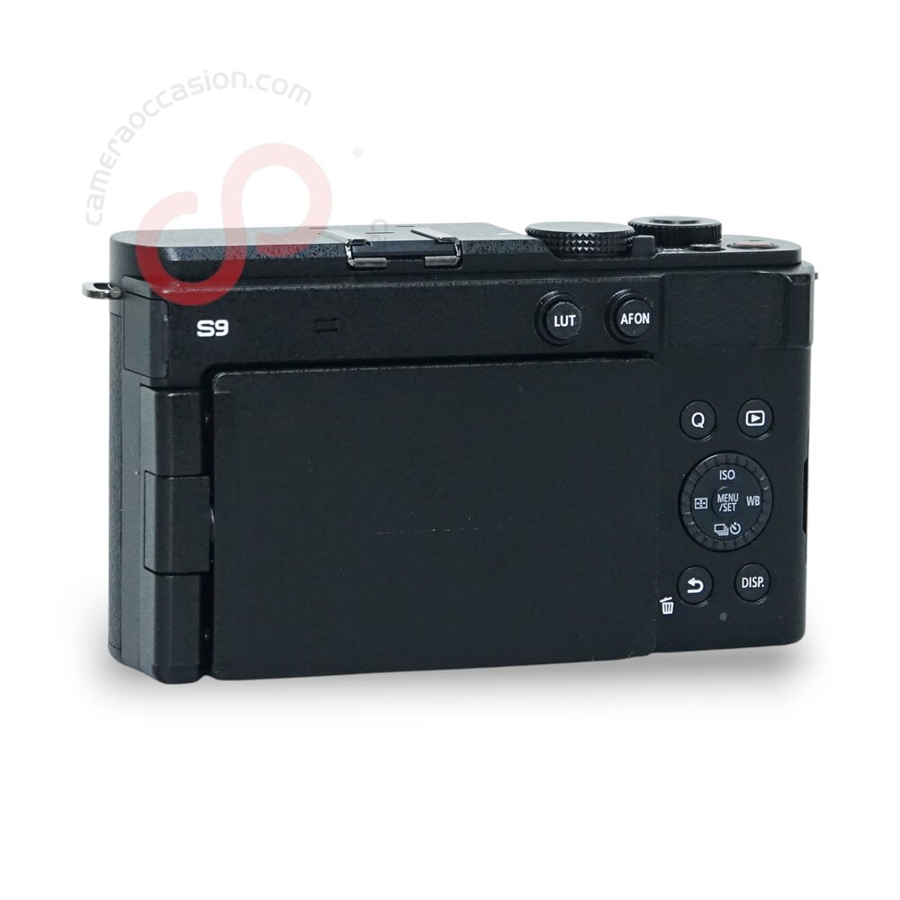 Panasonic Lumix DC-S9 nr. 3490