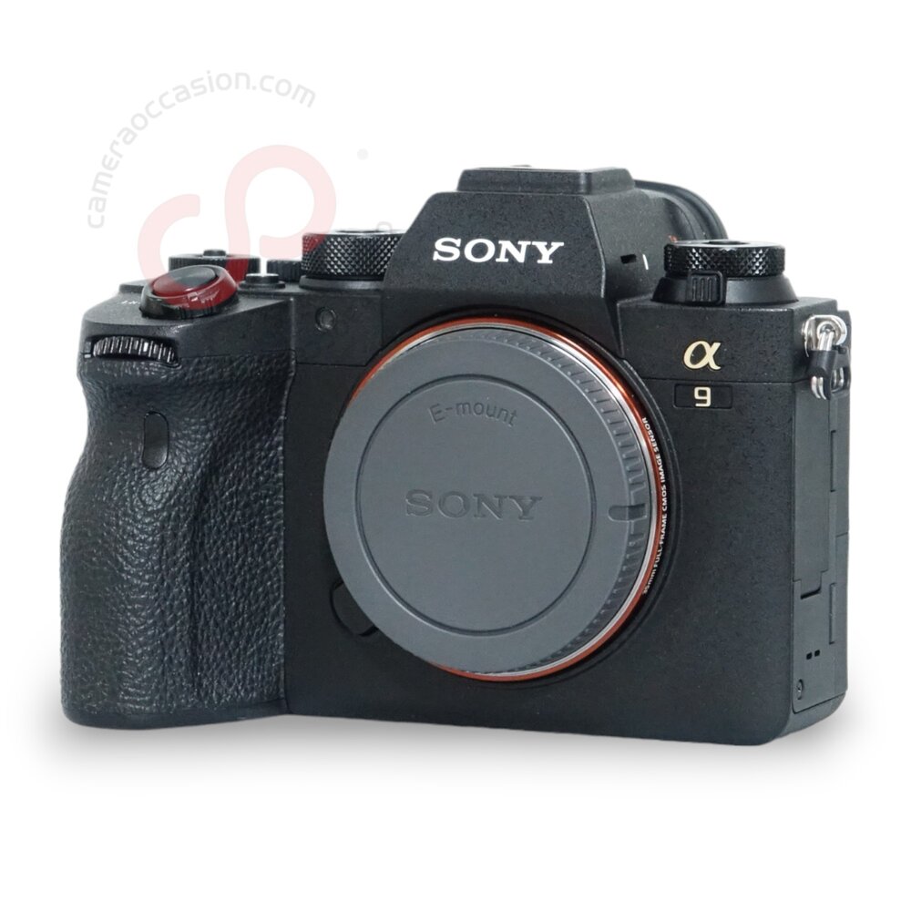 Sony A9 II nr. 3699