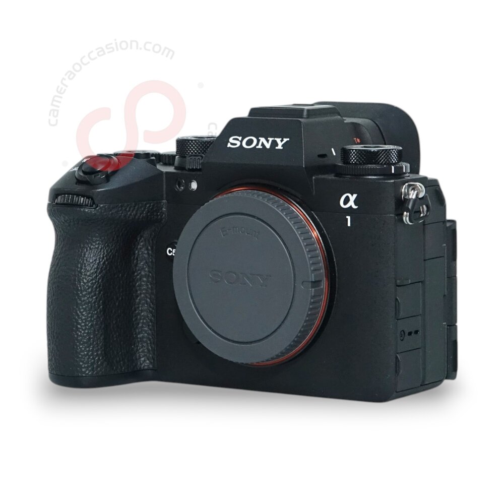 Sony A1 II nr. 3711