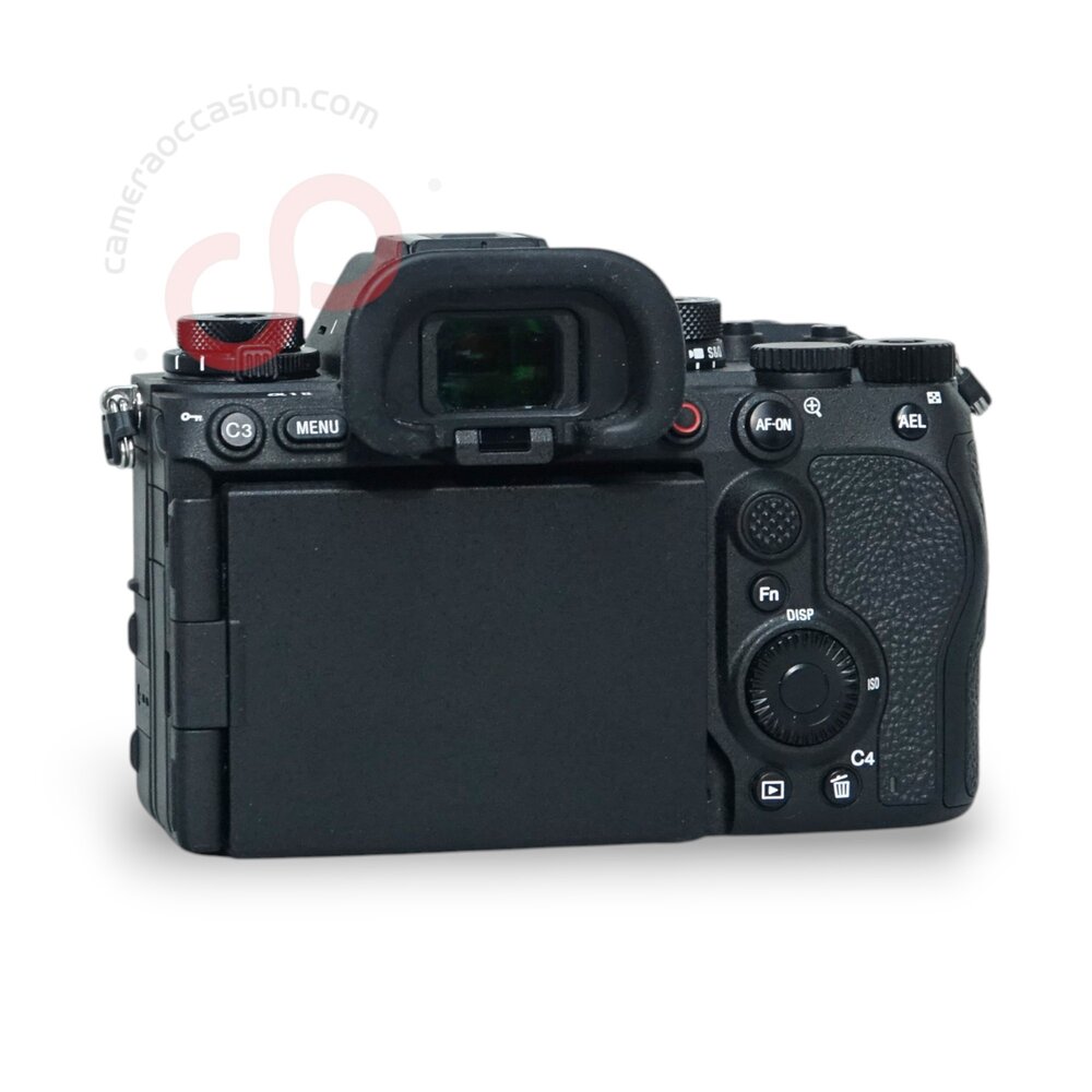 Sony A1 II nr. 3711