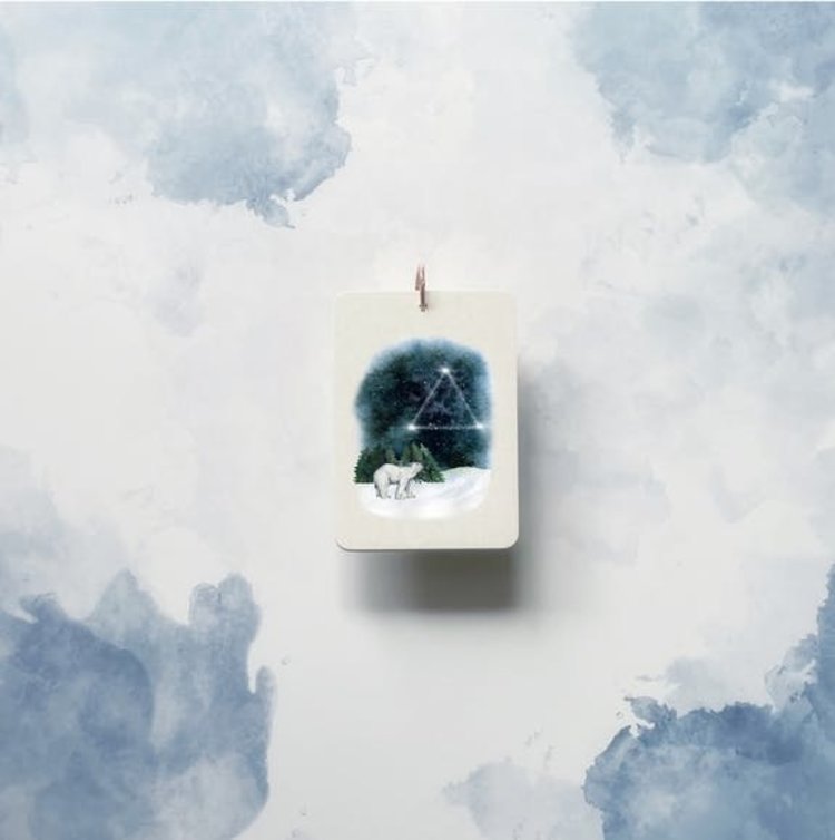 In a Flash Flashcards - Stage 3 - Polar Friends