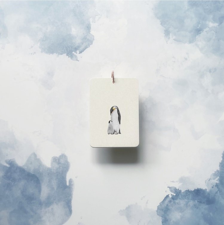 In a Flash Flashcards - Stage 3 - Polar Friends