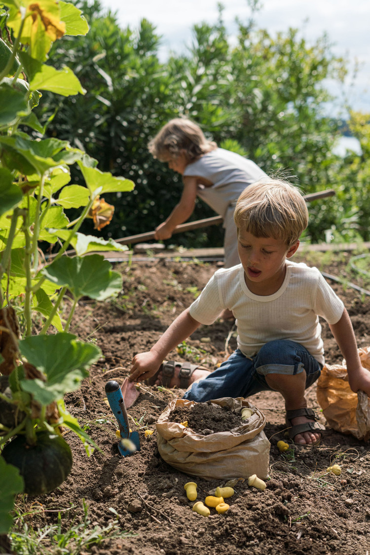 Grapat  Houten mandala tulpjes