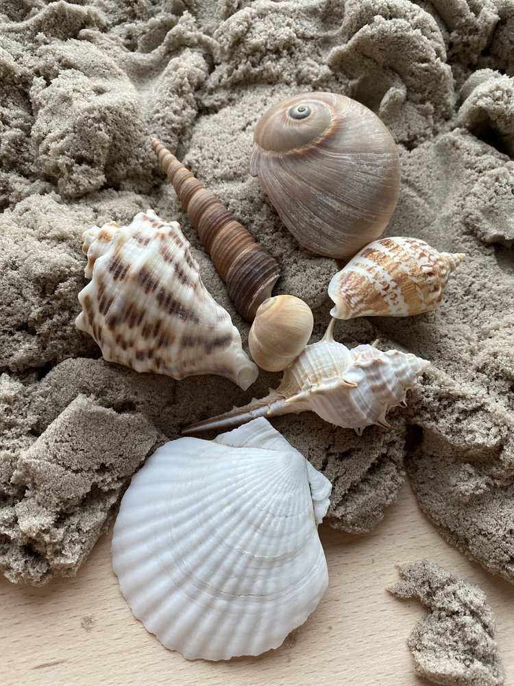 CowCow Sensory play box - Nature