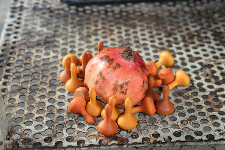 Grapat  Mandala Pompoen