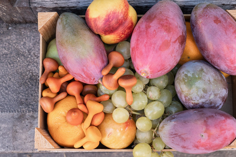 Grapat  Mandala Pompoen