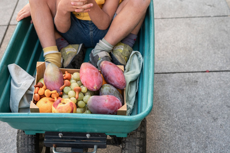 Grapat  Mandala Pompoen