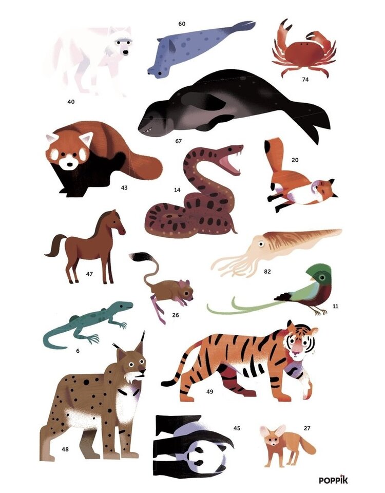 Poppik Stickerposter Discovery - Dieren van de wereld