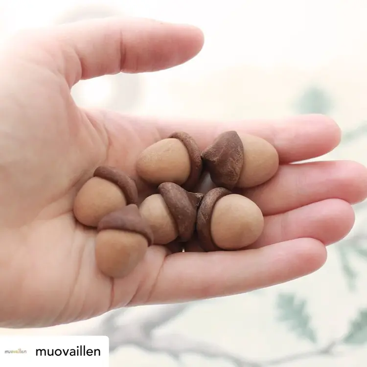 The Wild Hearts Organische speelklei - Earth Set