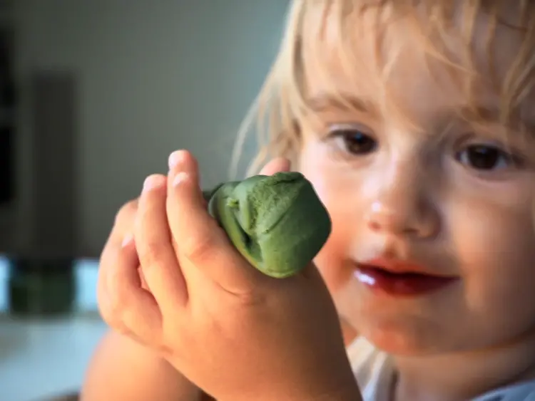 The Wild Hearts Organische speelklei - Earth Set