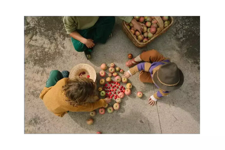 Grapat  Halve Bollen